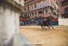 Palio Straordinario: la fotogallery delle Prove di Addestramento Mattutine